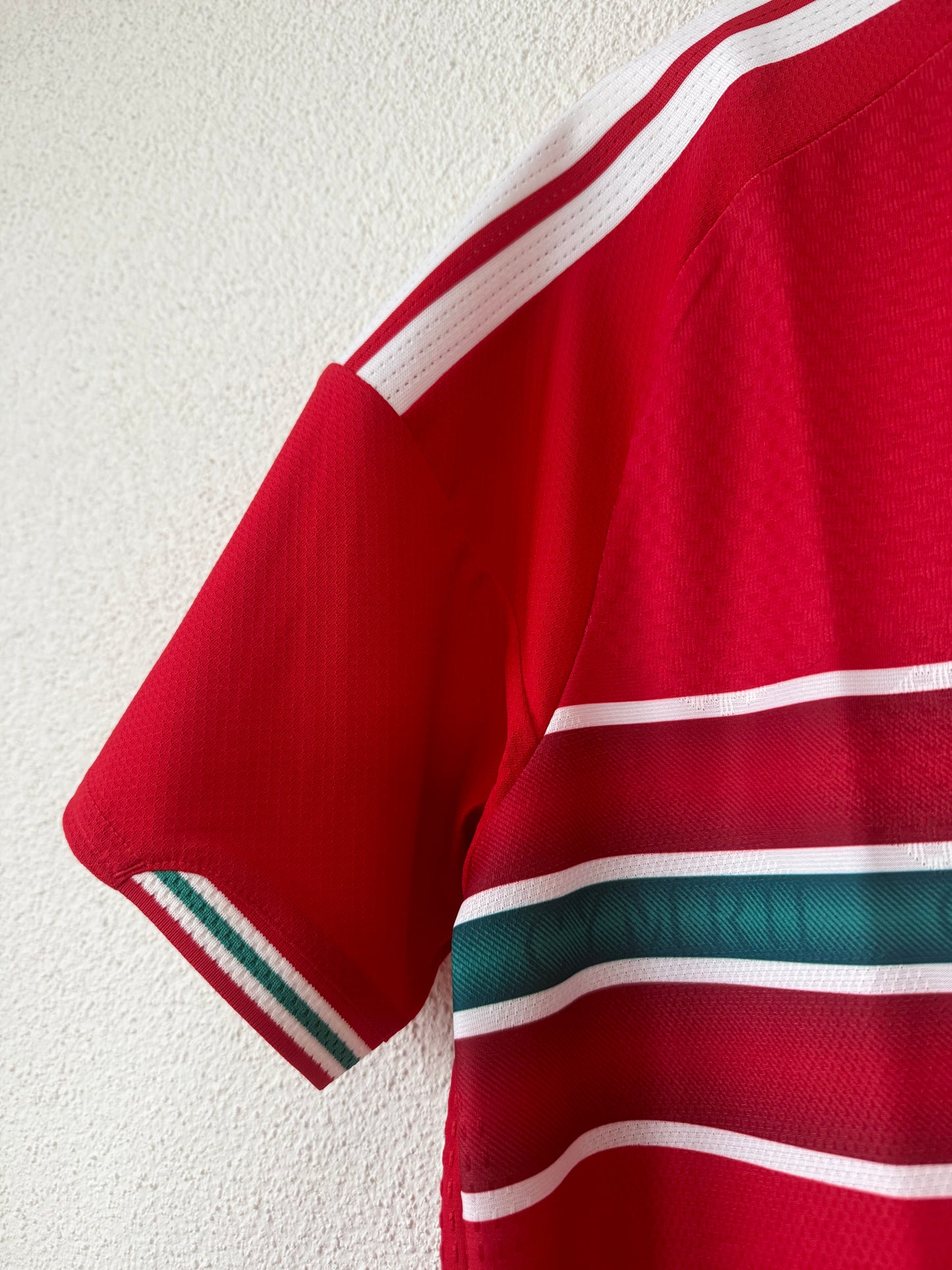 Wales Home Shirt 2026/2027 Size L (Authentic Version)